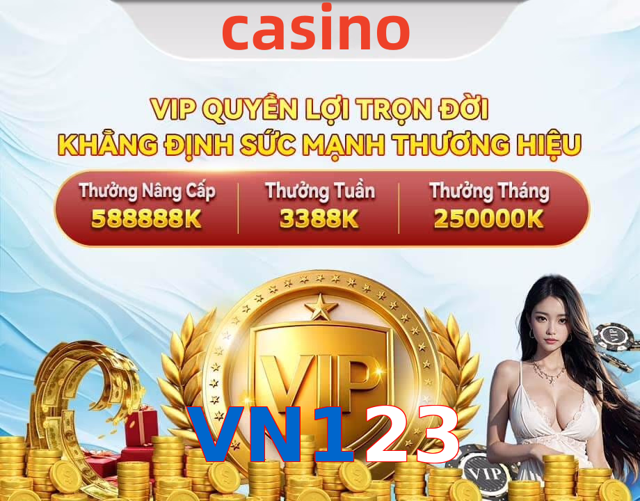 VN123