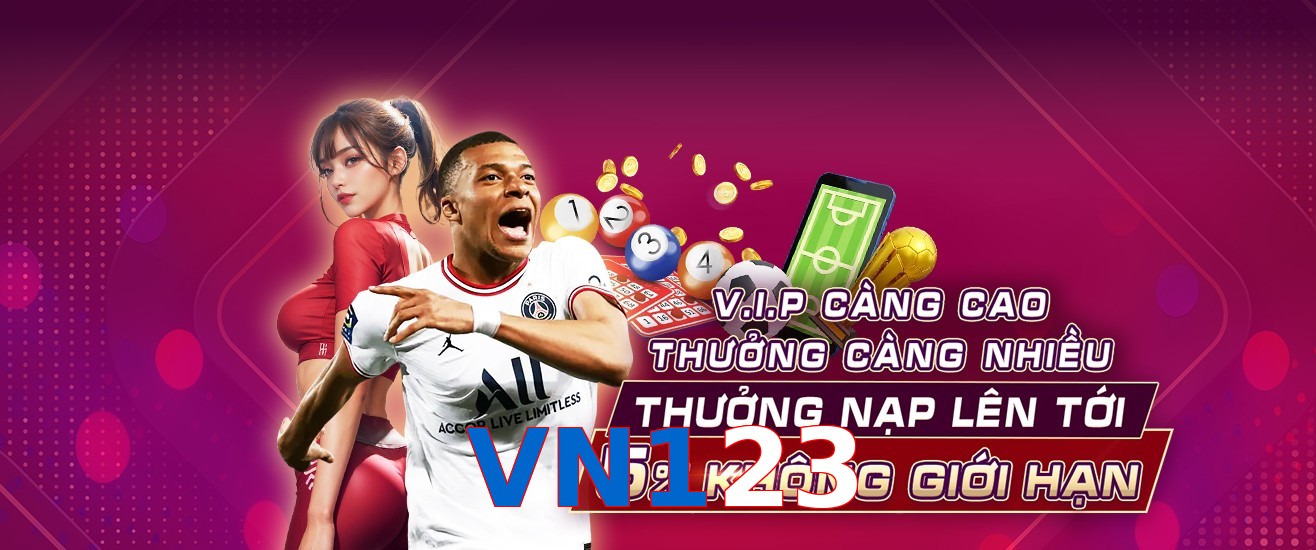 VN123