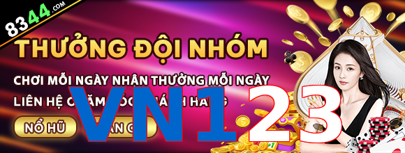 VN123