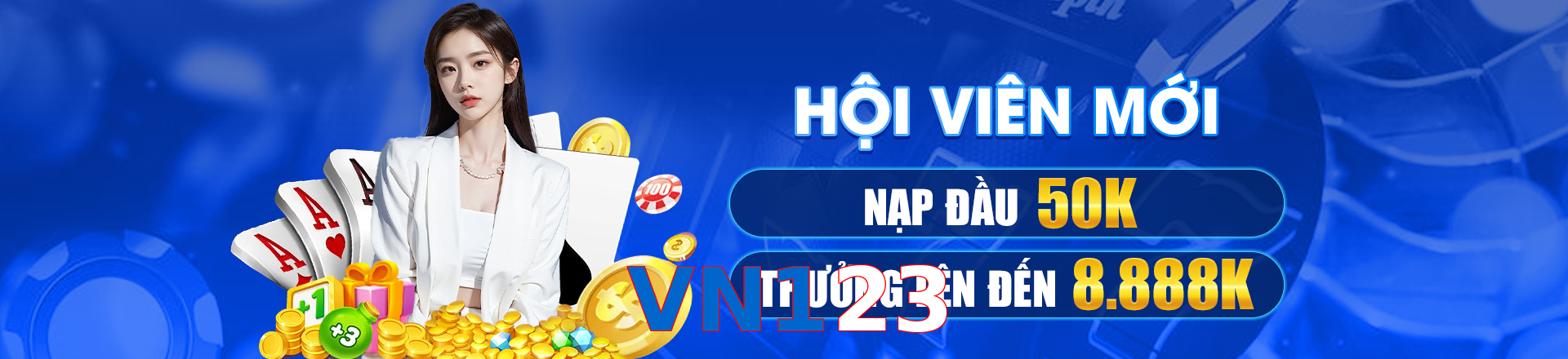VN123