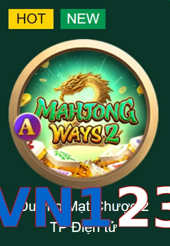 VN123