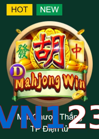 VN123