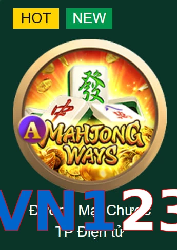 VN123