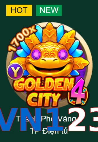 VN123