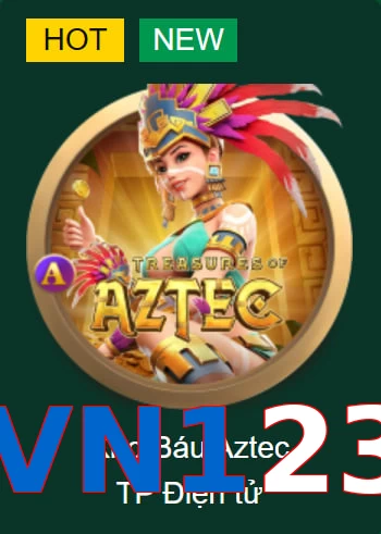VN123